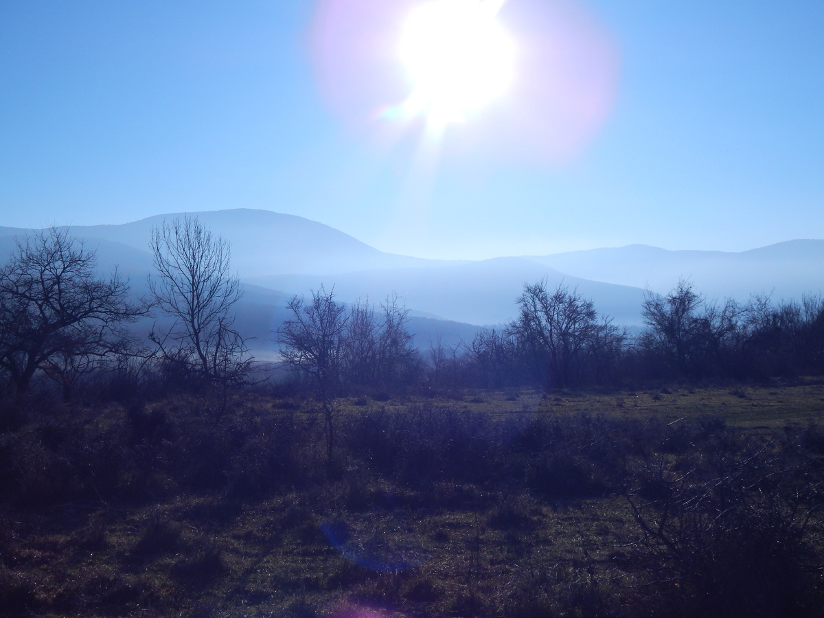 Первое утро 2025г.