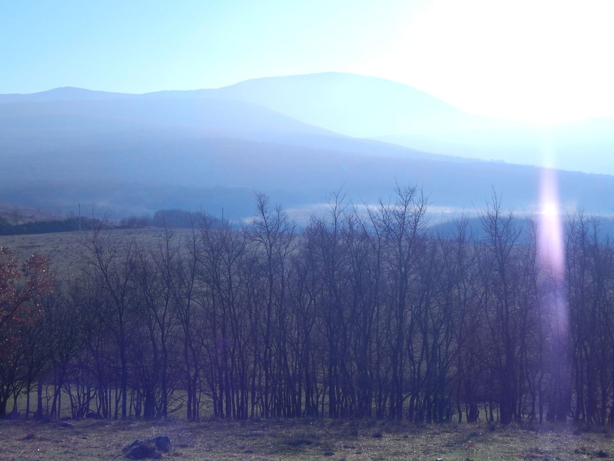 Первое утро 2025г.