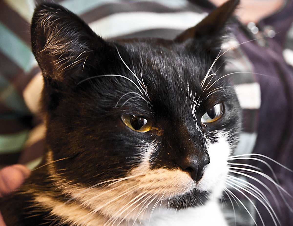 Главное ничего не пропустить