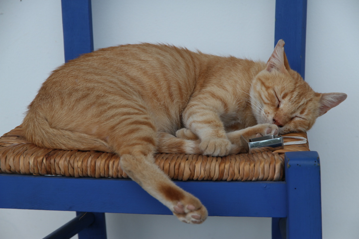 Лучше уж поспать