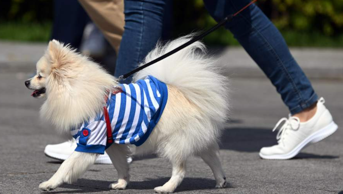 Фото: РИА Новости/Павел Бедняков