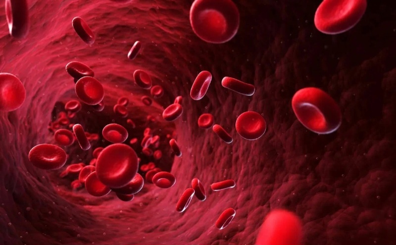 Вот она наша Божественная..