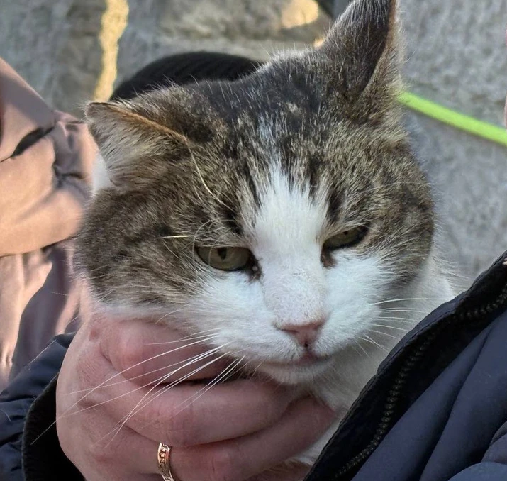 Когка Муся.