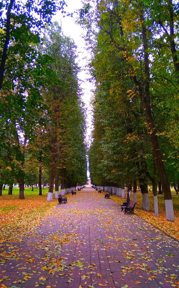 Личное фото автора.