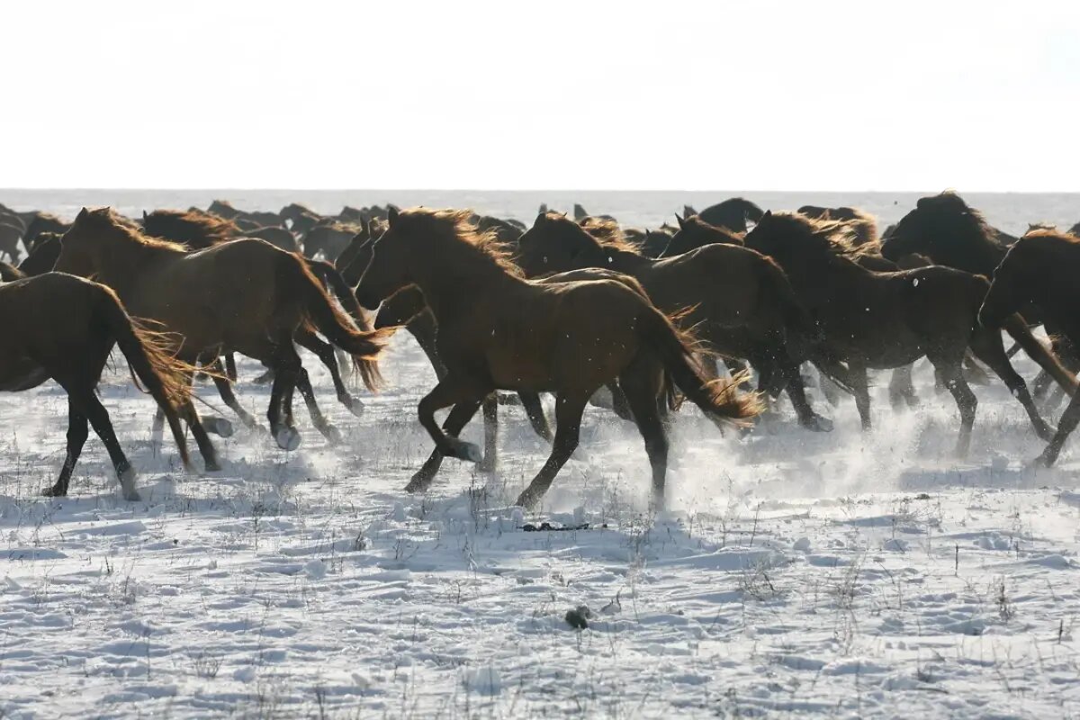 Фото: Василий Дерюгин / Коммерсантъ