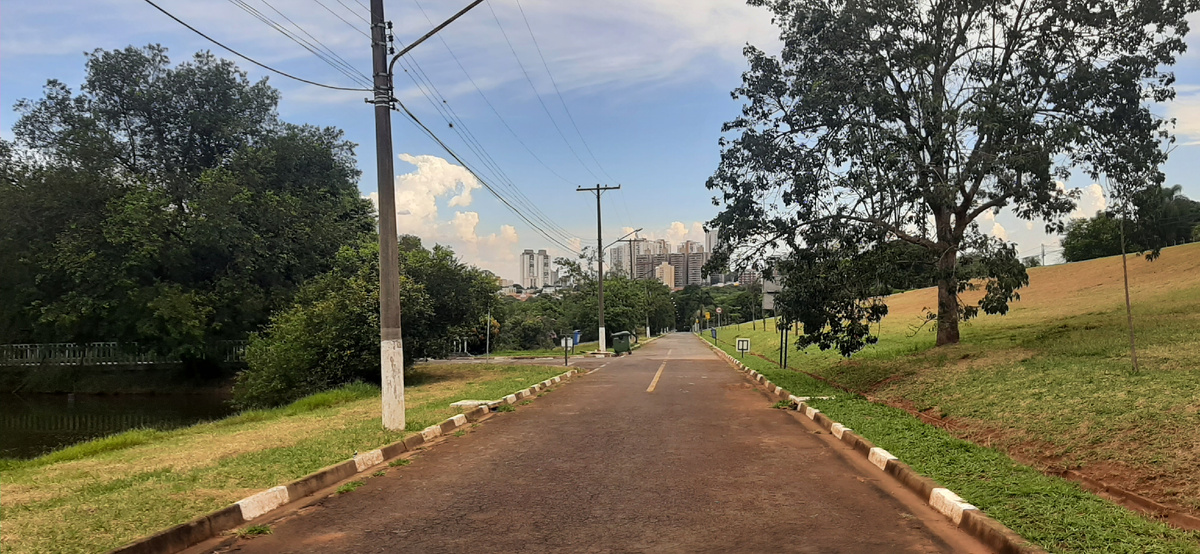 Кампинас (штата Сан-Паулу)