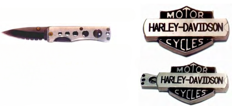 (Фотография из открытых/свободных источников, авторы - полиция США/USA Police)