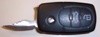 (Фотография из открытых/свободных источников, авторы - полиция США/USA Police)