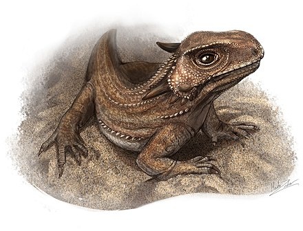 Капес, реставрация внешнего вида. (Прижизненного облика).