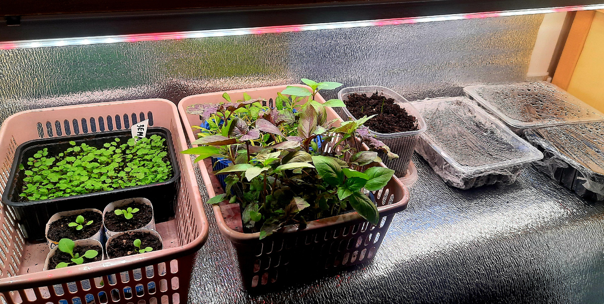 Фото автора. 27.02.25г.