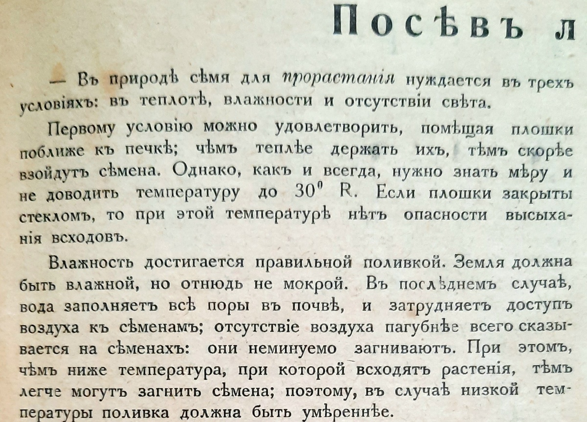 Фото автора. "Журналъ для хозяекъ", 1915г.