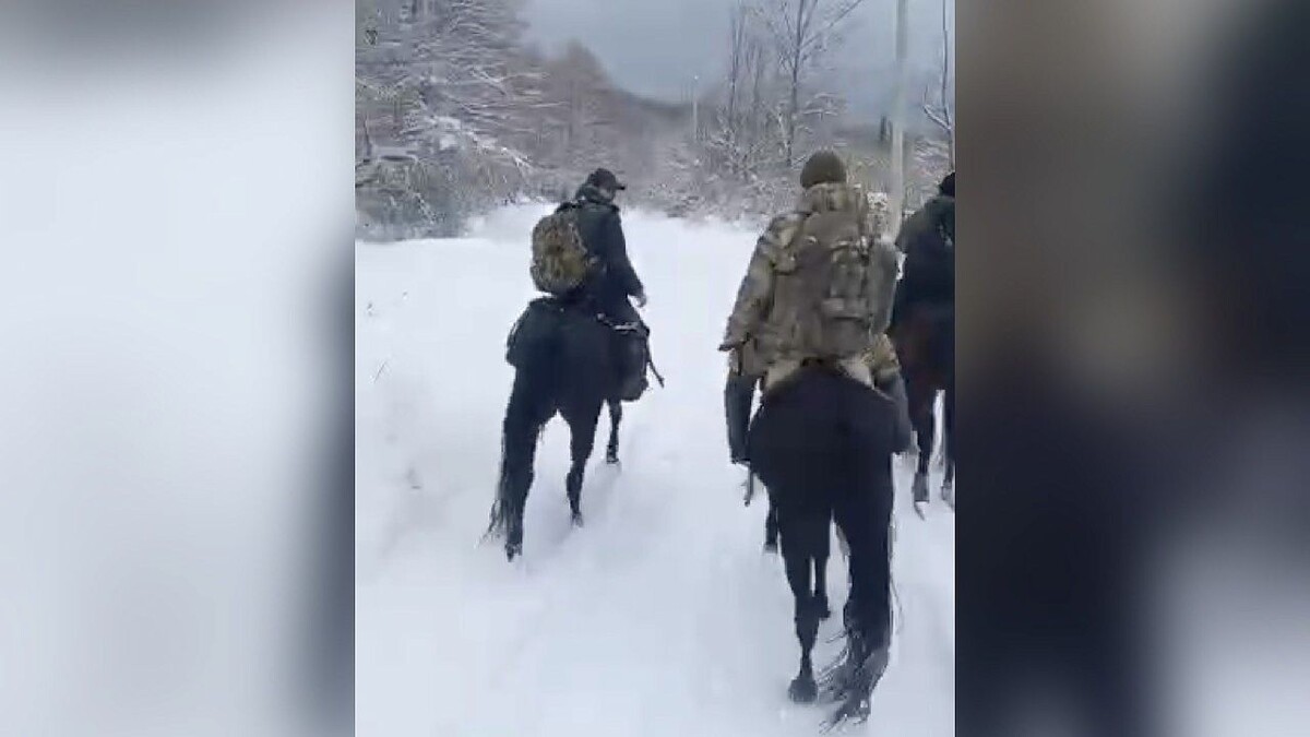    Фото: t.me/shpalorez