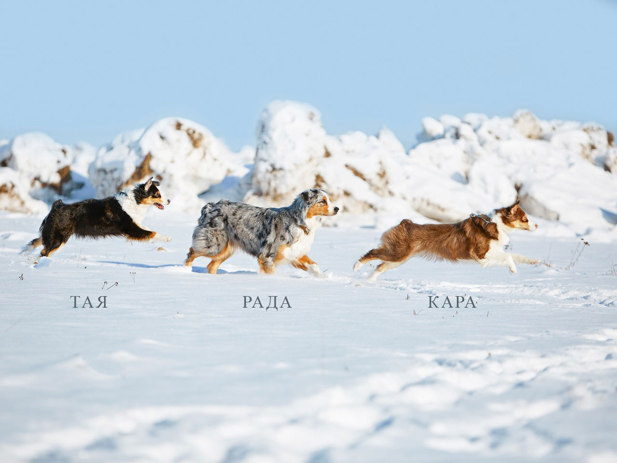 Когда позвали кушать