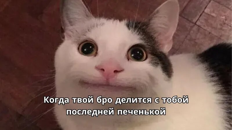 Смешной смех звук мем Словарь зумерского сленга: часть 2 (или как понять, что ты уже динозавр) Соцсеть