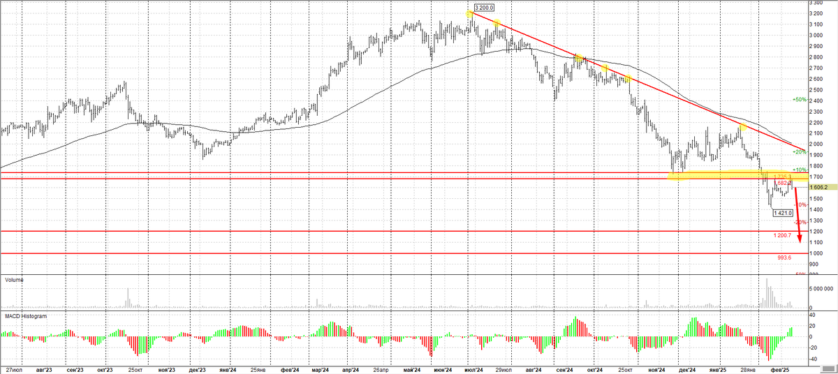 Позитив Дневной график.