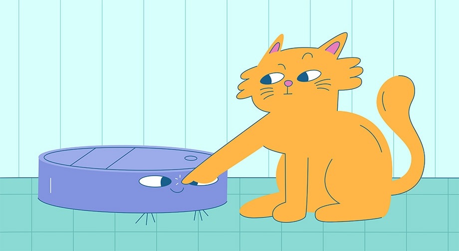 При правильном подкреплении кот не будет бояться пылесоса