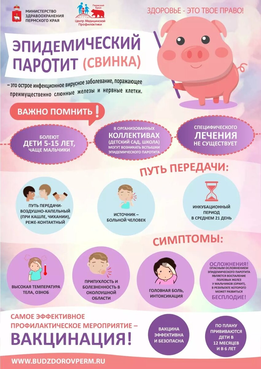Что такое свинка. Фото: budzdorovperm.ru