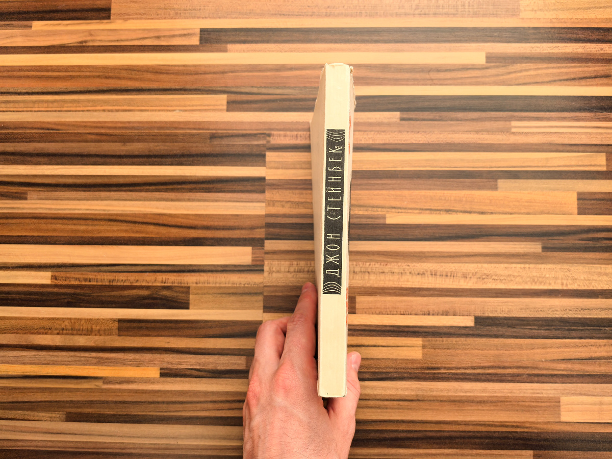 Издательство "Художественной литературы", год издания 1963, тираж 100 000 экз.