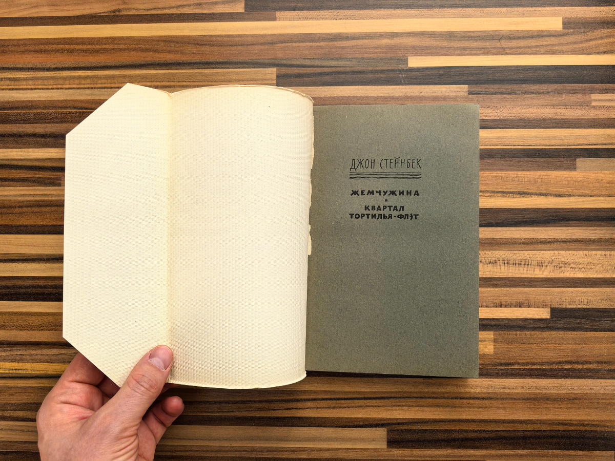 Издательство "Художественной литературы", год издания 1963, тираж 100 000 экз.