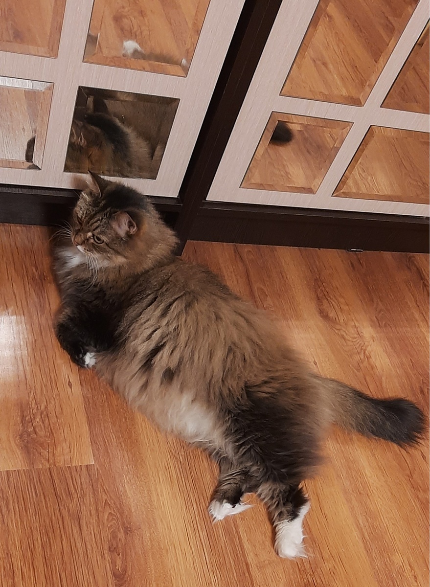 Фото автора