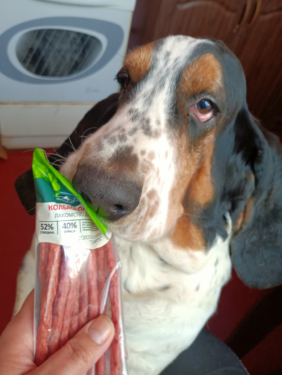 Радости нет предела.