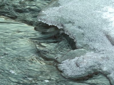    Фото: ГТРК "Карелия"