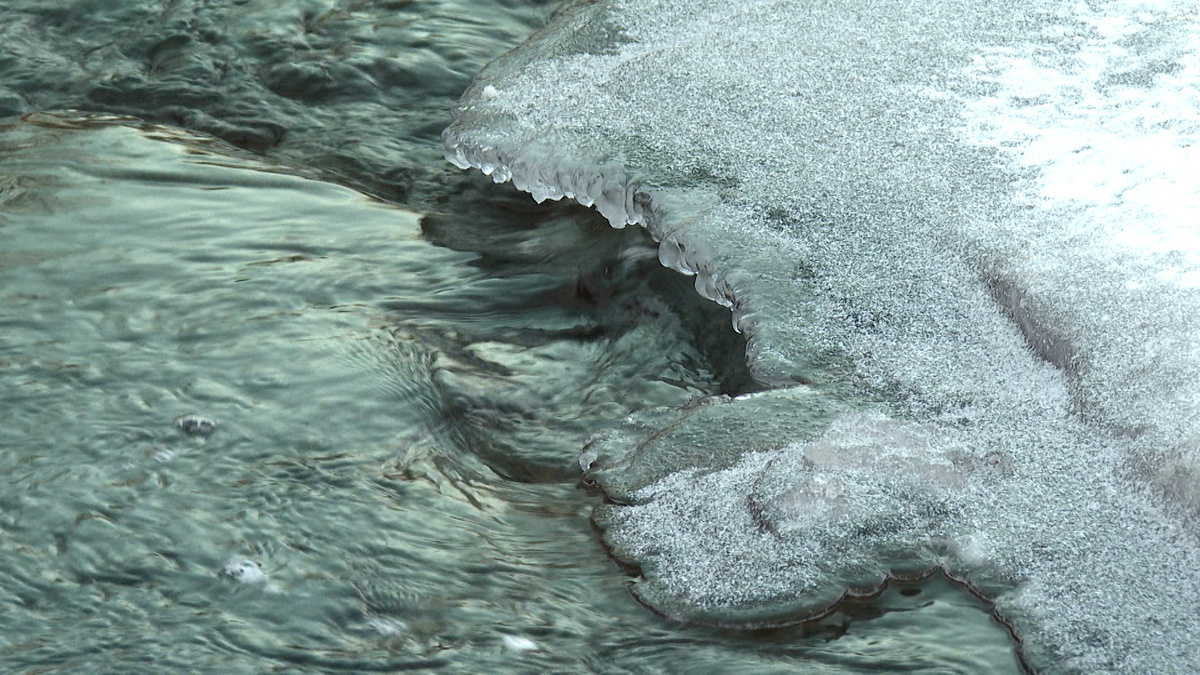    Фото: ГТРК «Карелия»