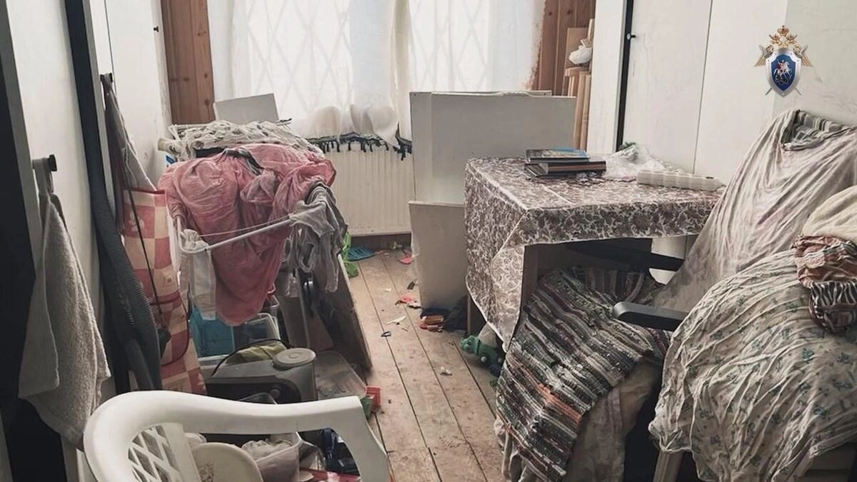 Источник: 
СК Ленинградской области