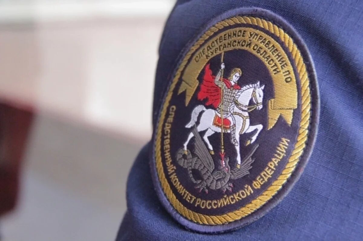    В Кургане ранее судимого челябинца обвиняют в изнасиловании ребёнка