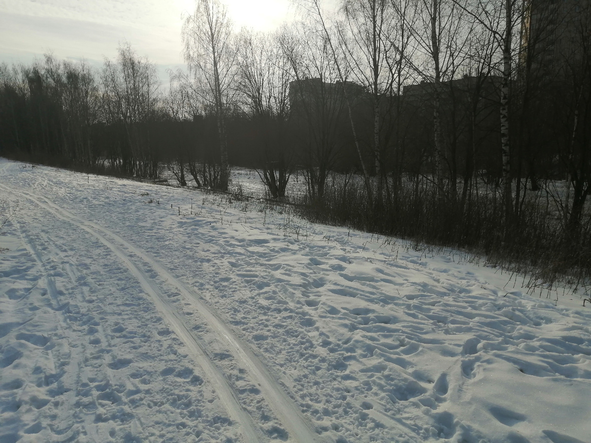 Фото автора канала от 26.02.2025