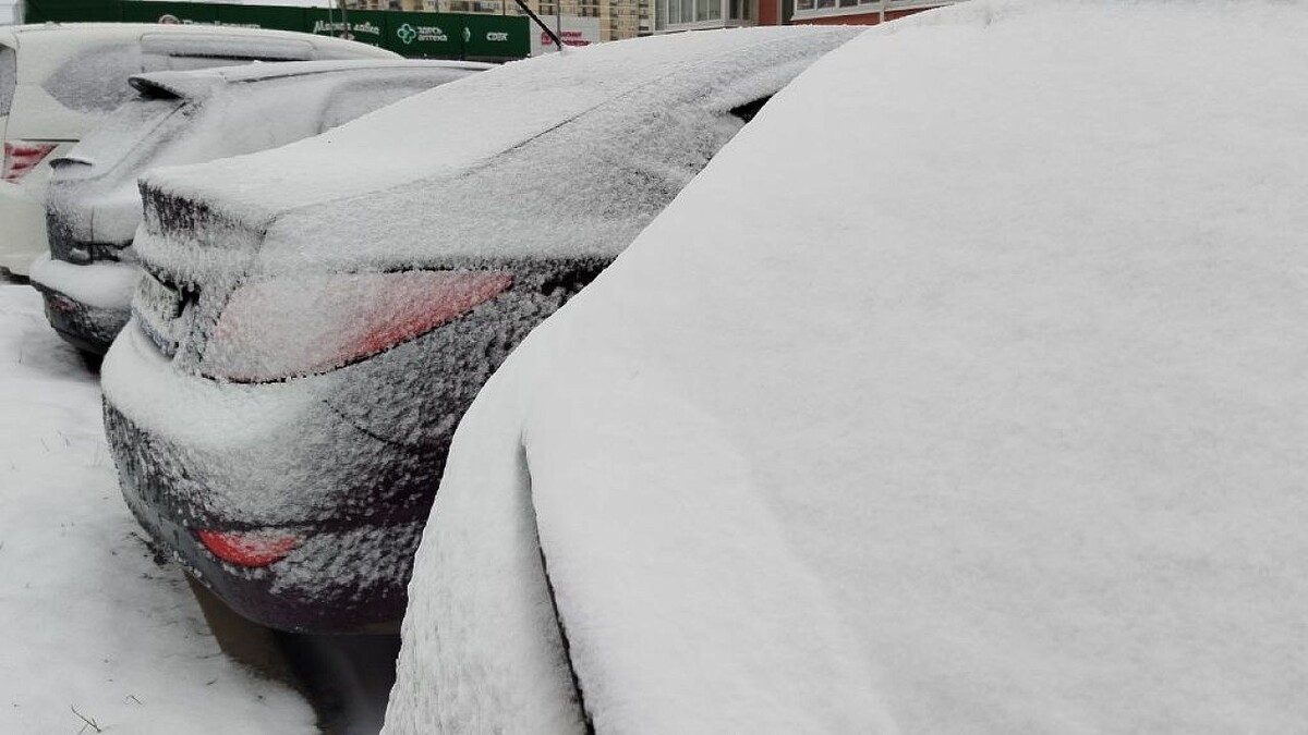    Фото: телеканал «Краснодар»