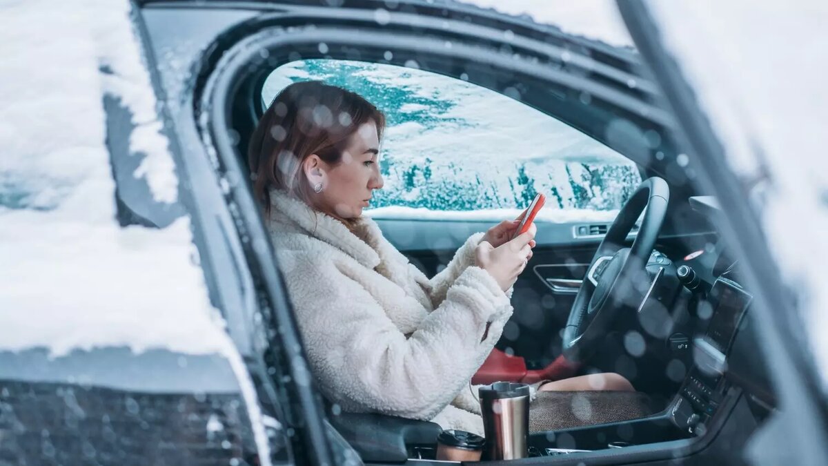     Автор: teksomolika/freepik