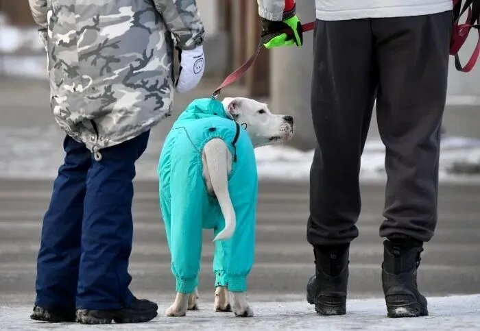     © РИА Новости. Александр Кряжев