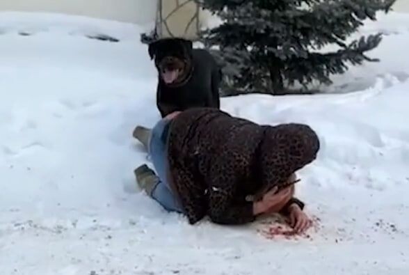     / Источник: Кадр из видео