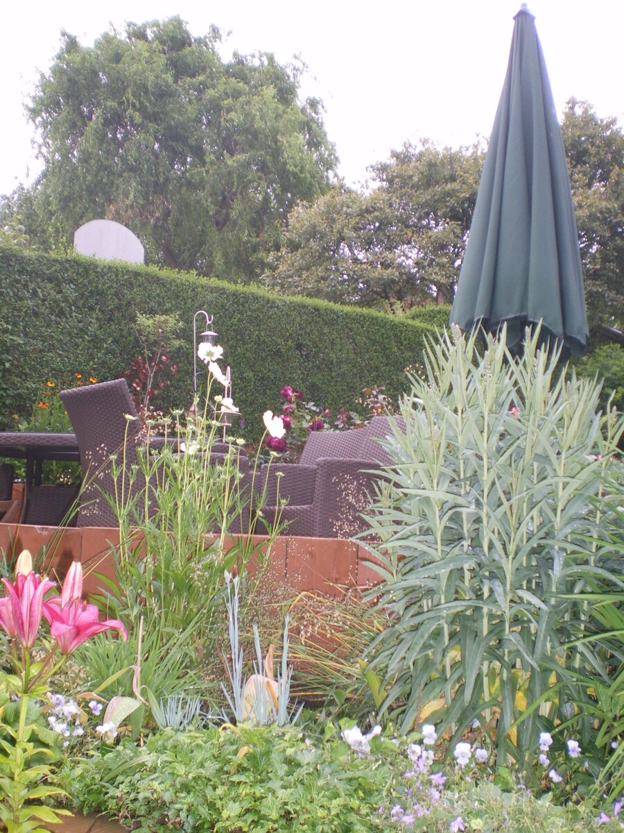 В саду у брата мужа