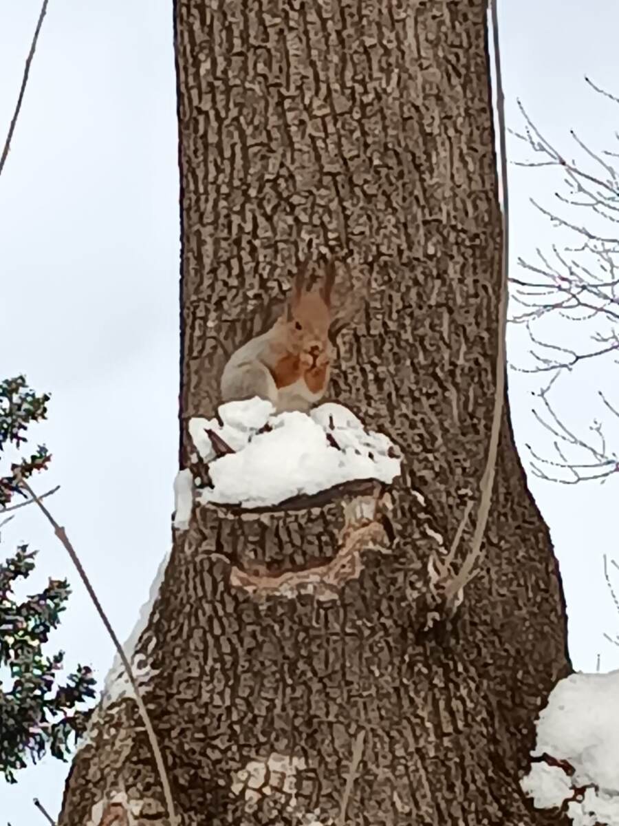 Схватила угощение и вприпрыжку наверх.