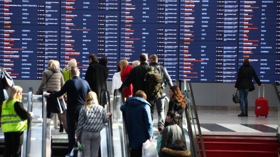    В России расширяется программа "Путь домой" Полина Киселева