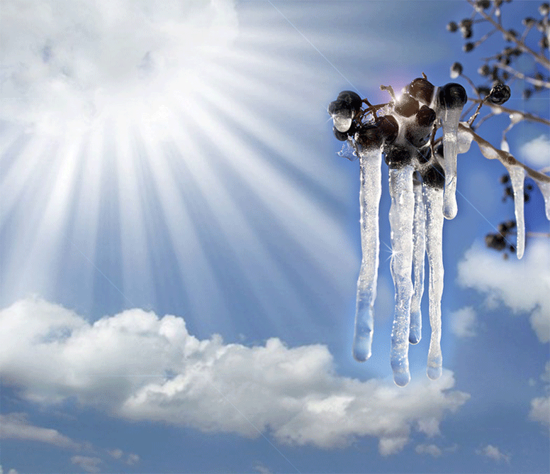 Изображение из открытых источников