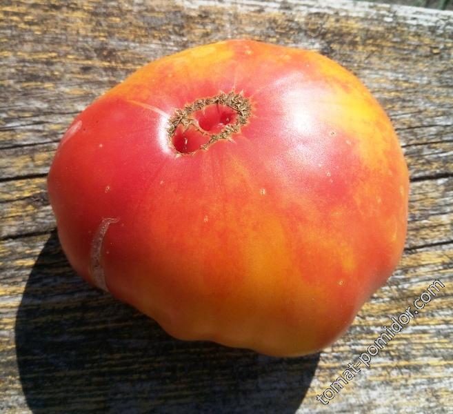 Томат Армянский