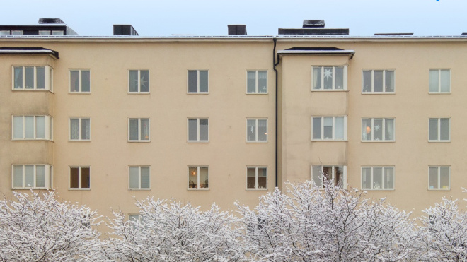 Фото: "Объясняем.Ленинградская область/ВКонтакте"