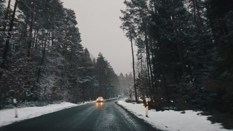    Фото: unsplash.com/Hannes Schulze Илья Федоров