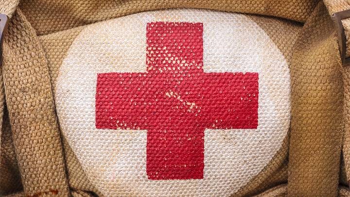  Фото: shutterstock