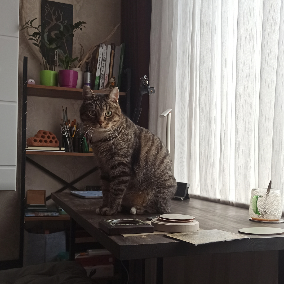 фото автора