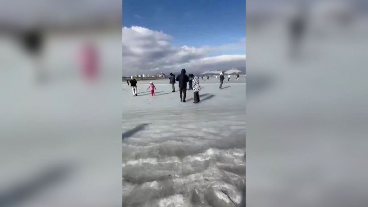    Фото: t.me/love_sochi