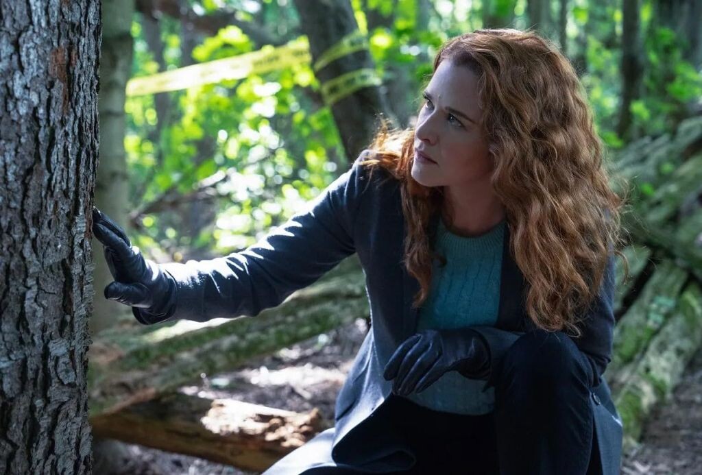 Источник film.ru