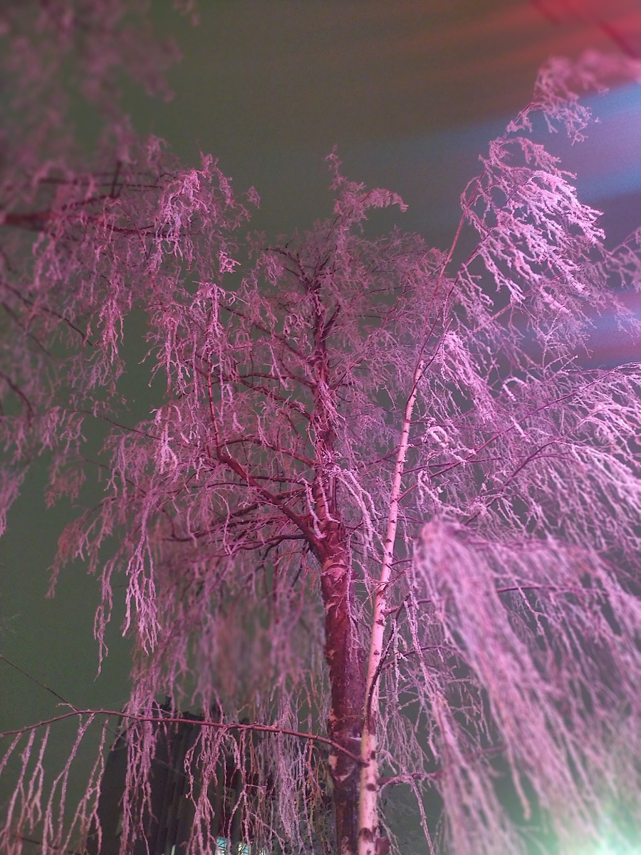 Из личного архива