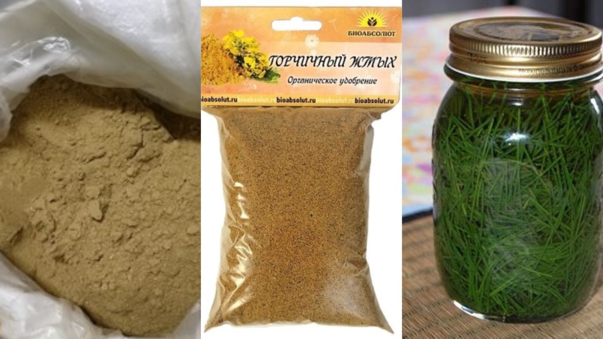 Вот они - три главных защитника помидоров, которые может приготовить каждый