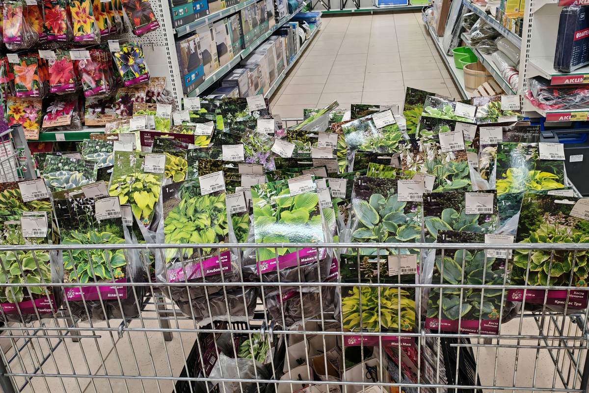 В галерее несколько фото - листайте