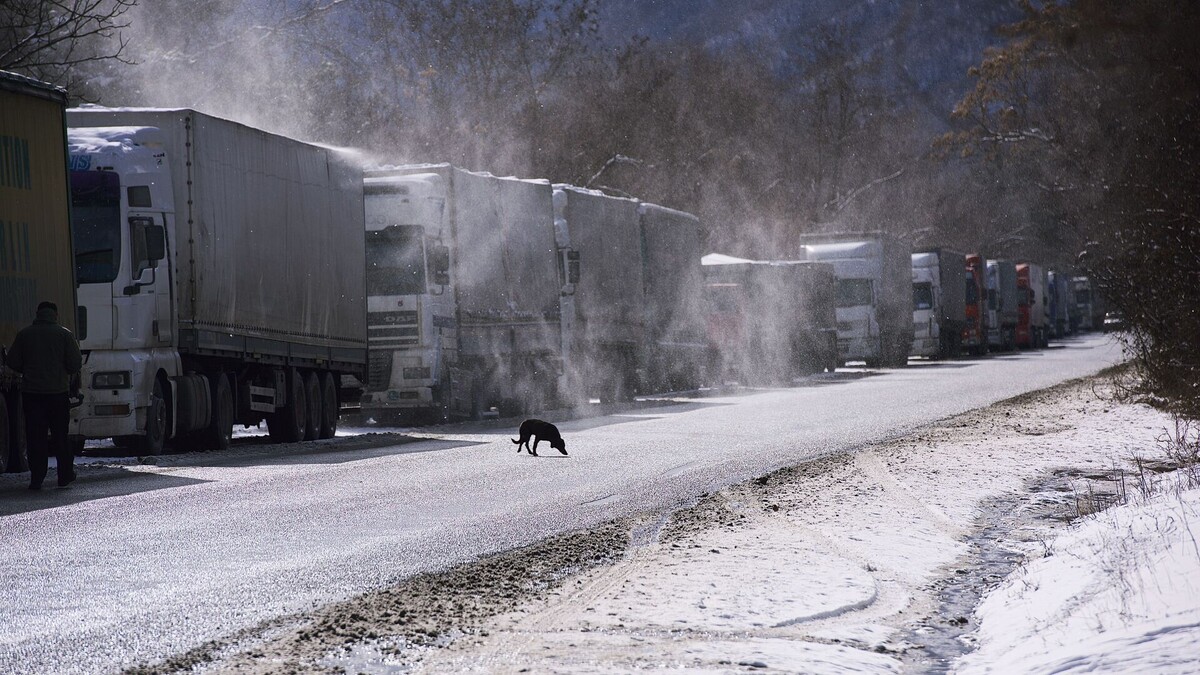 © Sputnik / Александр Имедашвили