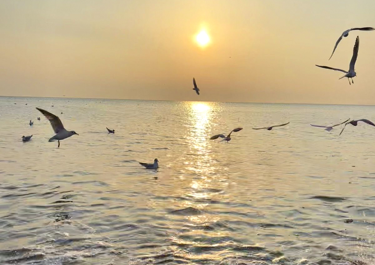 Фото © «Московская газета»